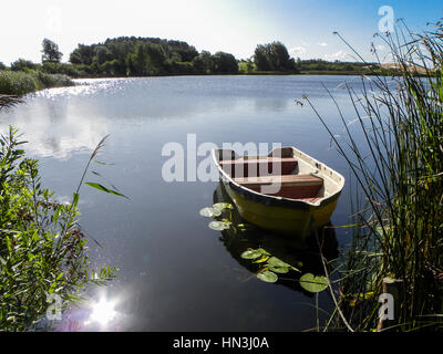 Kleine hölzerne Ruder Boot am Teich zwischen Schilf und umgeben von Waterlily Blätter in der Sonne Reflexion auf dem Wasser Stockfoto