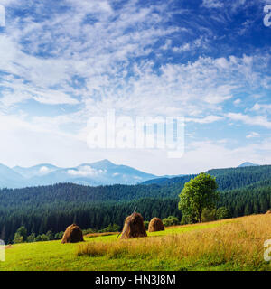 Schöner sonniger Tag ist in den Bergen Stockfoto