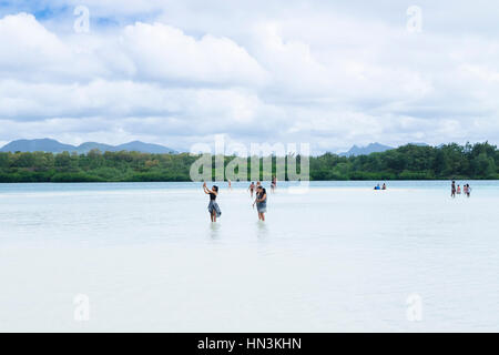 Touristen nehmen Selfie in flachen Gewässern der Insel Ile Aux Cerfs an der Ostküste von Mauritius, Afrika Stockfoto