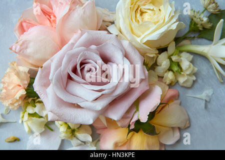 Nahaufnahme der große Rose unter verschiedenen Blumen auf grauem Hintergrund dargestellt. Zusammensetzung der Blumen kann für jede Verzierung in Valentinstag verwendet werden. Stockfoto