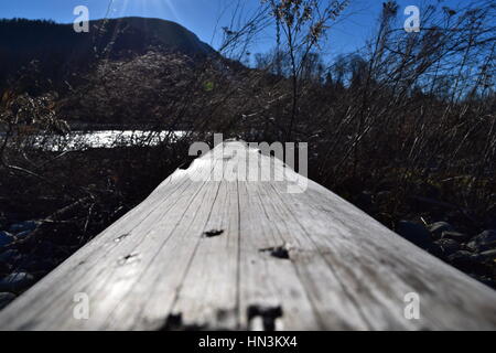 Umgestürzten Baum am Fluss Stockfoto