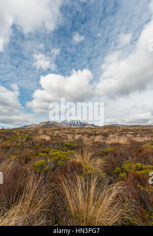 Vulkan Mount Tongariro und Mount Ngauruhoe, Tongariro Nationalpark, Southland, Neuseeland Stockfoto