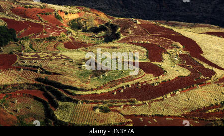 Kunming, Kunming, China. 31. Januar 2017. Kunming, CHINA-31. Januar 2017: (nur zur redaktionellen Verwendung. CHINA HERAUS). Landschaft der Dongchuan Red Land in Kunming, Hauptstadt der Provinz Süd-China Yunnan, 31. Januar 2017. Das Dongchuan Red Land, genannt "Farbpalette von Gott aufgehoben", ist eine bekannte Sehenswürdigkeit in Yunnan. Bildnachweis: SIPA Asien/ZUMA Draht/Alamy Live-Nachrichten Stockfoto