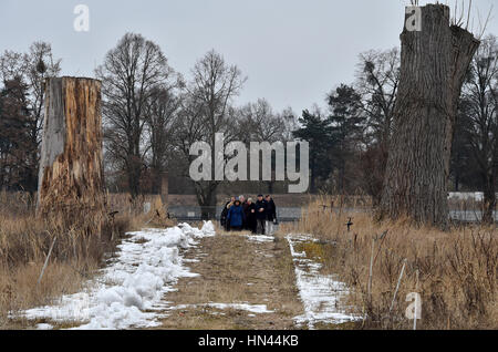 Fürstenberg, Deutschland. 8. Februar 2017. Gefällte Bäume Mark südlichen Räumlichkeiten des Frauen KZ Ravensbrück in Fürstenberg, Deutschland, 8. Februar 2017. Die Gedenkstätte wird mit rund 10 Hektar der südlichen Areal hinter der Mauer erweitert werden. Die Prämisse von der sowjetischen Armee und später GUS Truppen nach dem zweiten Weltkrieg bis 1995. Foto: Bernd Settnik/Dpa-Zentralbild/Dpa/Alamy Live News Stockfoto