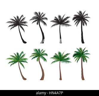 Palm Tree set Art Floral Design Elemente tropischen pflanzen Bäume Flachbild farbenfrohes Design und schwarze Silhouette Kollektion Stock Vektor