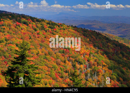 Mount Mitchell-Bereich, Blue Ridge Parkway, Black Mountain, North Carolina, USA Stockfoto