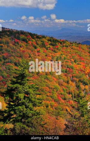 Mount Mitchell-Bereich, Blue Ridge Parkway, Black Mountain, North Carolina, USA Stockfoto