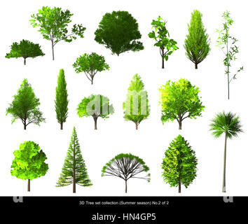 Grünes Blatt Baum gesetzt Sommersaison für Architektur, Landschaftsgestaltung, 3D Baum isoliert auf weißem Nr. 2 Stockfoto