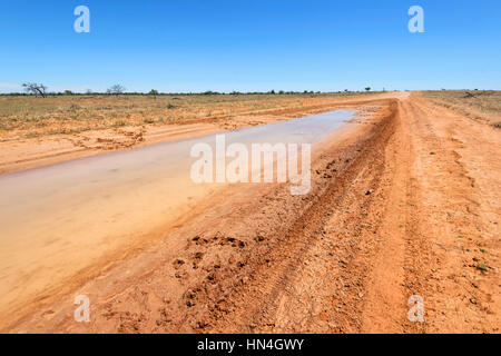 Überflutet Outback Schmutz der Straße zwischen Pooncarie und Menindee, New South Wales, Australien Stockfoto