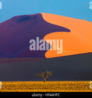 Sossusvlei ist ein Salz und Ton Pan, umgeben von hohen roten Dünen, befindet sich im südlichen Teil der Namib-Wüste, in der Namib-Naukluft National Park Stockfoto