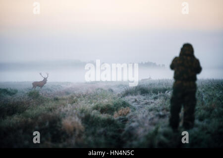 Jäger hält ein Gewehr und mit dem Ziel Rothirsch Jagd im Nebel, Hunter Fotoshooting am Morgen. Stockfoto