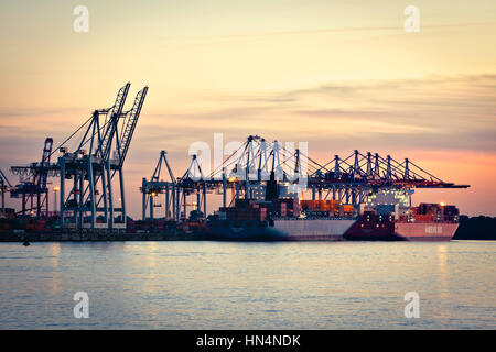 Hamburg, Deutschland - 24. Juli 2012: Zwei große Containerschiffe, die Talassa und das Santa Clara am terminal Burchardkai an der Elbe angedockt sind. Stockfoto