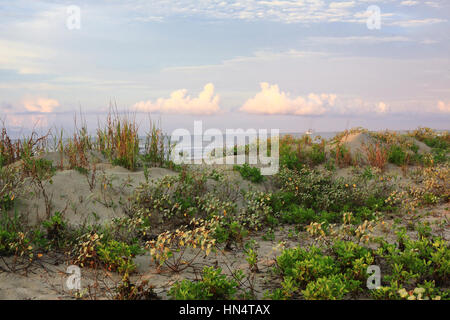 Sonnenaufgang in den Dünen des Strandes in Kiawah Island, South Carolina. Stockfoto