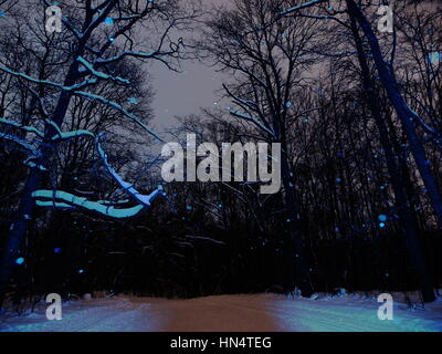 Bäume mit Schnee bedeckt, dunkler Himmel. Russische Winterlandschaft. Parkszene. Nachtaufnahme. Stockfoto