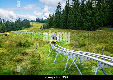 FIEBERBRUNN, ÖSTERREICH - 30. AUGUST 2016. Timoks Alpine Coaster in Fieberbrunn, Kitzbühel Alpen, Tirol, Österreich Stockfoto