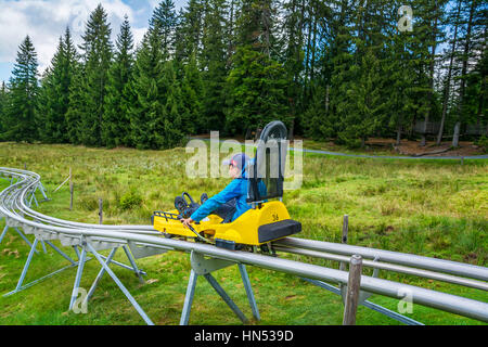 FIEBERBRUNN, ÖSTERREICH - 30. AUGUST 2016. Timoks Alpine Coaster in Fieberbrunn, Kitzbühel Alpen, Tirol, Österreich Stockfoto