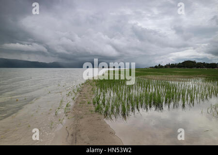 Pantai Batu Simanindo Hoda im Bereich Toba-See, Nord-Sumatra, Indonesien. Die Einzigartigkeit der Toba-See hat Bebarapa weißen Sandstränden rund um Stockfoto