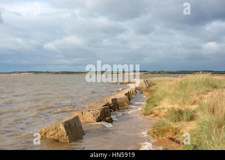 Während des Krieges Anti-Invasion Beton blockiert, Fluss Deben, Bawdsey Fähre, Suffolk, UK. Stockfoto