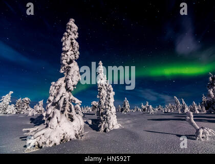 Winternacht im finnischen Lappland Stockfoto