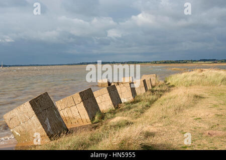 Während des Krieges Anti-Invasion Beton blockiert, Fluss Deben, Bawdsey Fähre, Suffolk, UK. Stockfoto