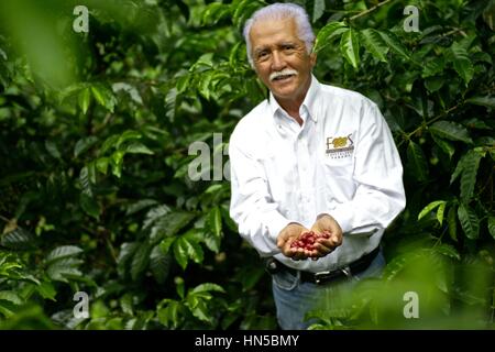 Porträt von Don Francisco Serracin, Gründer von Don Pachi Estate, holding Geisha Kaffee in Bohnen. Stockfoto