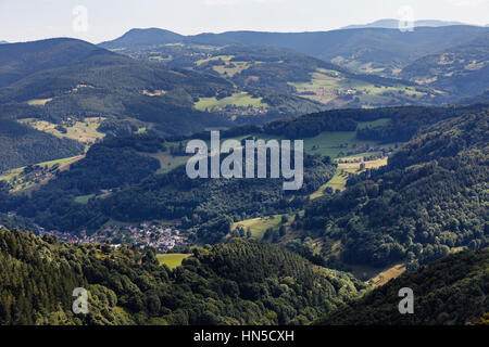 Sehen Sie in den Ballons des Vosges Regional Nature Park in der Nähe von Fréland, Elsass, Frankreich Stockfoto