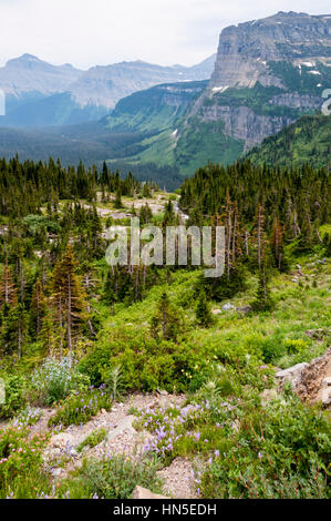 Heavy Runner Berg DIS Going-to-the-Sun Road n Glacier National Park, Montana, USA. Stockfoto