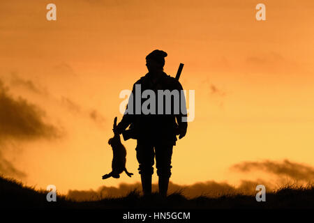 Jäger mit Gewehr getötet Feldhasen Silhouette gegen Sonnenuntergang Stockfoto