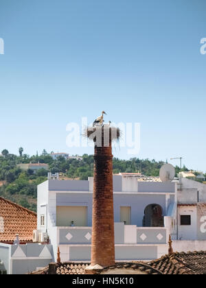 Ein Storchennest auf einem Schornstein, Silves, Portugal Stockfoto