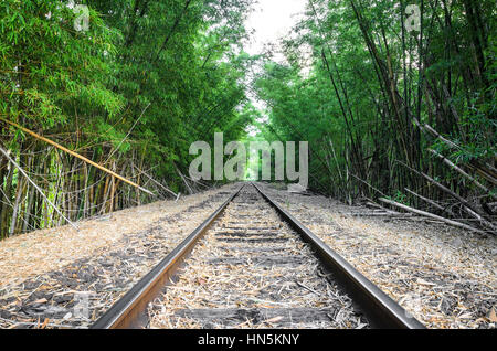 Die Bahnstrecke auf der Durchreise Bambuswald mit vielen getrocknete Blätter auf dem Boden. Stockfoto