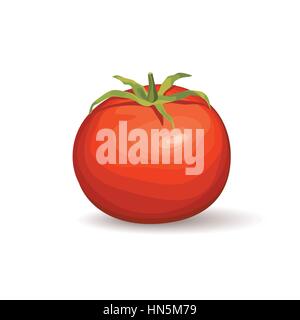 Tomate. Gemüse Logo. Vector Illustration von naural Produkt Tomate. Stock Vektor