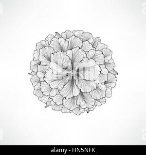 Floral background. Grußkarte mit Blume. Grenze gedeihen. Sanfte Einrichtung mit sommerblume Dahlie. schwarz-weiß illustration Vektor Stock Vektor