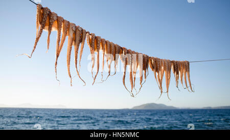Krake Beinen hängend trocknen, erschossen während des Urlaubs in nisyros Stockfoto