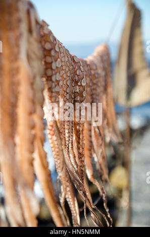 Kraken-Beine hängen zum Trocknen.Aufnahme mit einer Nikon-Kamera auf der Nisyros-Insel am 2012. Stockfoto