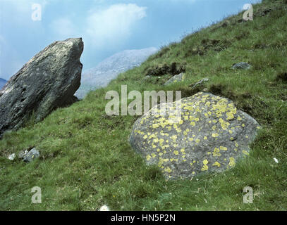 Flechten - Rhizocarpon Geographicum Karte Stockfoto