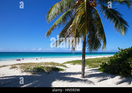 Touristen aus aller Welt genießen die feinen weißen Sandstrände von Varadero. Stockfoto