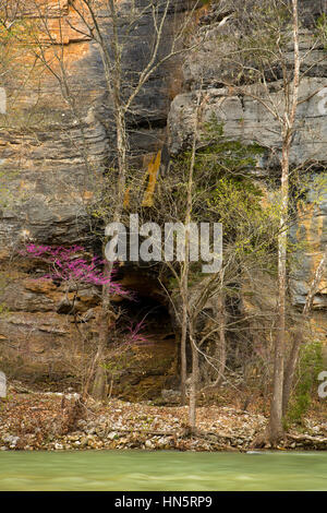 Buffalo River ein National Scenic River und seine Bluffs in Arkansas Stockfoto