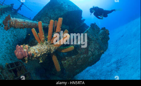 Scuba Diver untersucht das Wrack von Captain Keith Tibbetts Stockfoto