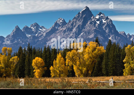 Herbst Farben im Grand Teton National Park, Jackson, Wyoming, USA Stockfoto