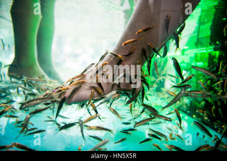 Füße in einem Aquarium mit kleinen Fischen, Essen die Haut Stockfoto