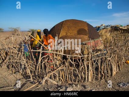 Afar Stammes Frauen Aufbau einer Hütte hinter einem Holzzaun, Afar Region, Meile, Äthiopien Stockfoto