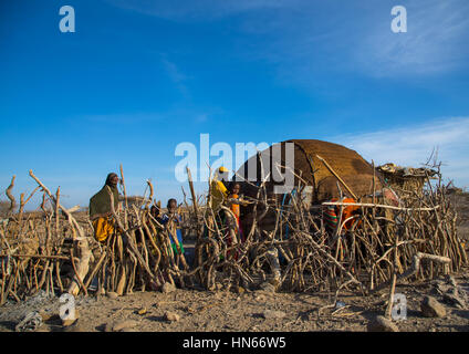 Afar Stammes Frauen Aufbau einer Hütte hinter einem Holzzaun, Afar Region, Meile, Äthiopien Stockfoto