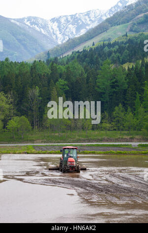 Hakuba, Japan - 17. Mai 2012: Überflutet Paddy Reisfeld am Fuße des Gebirges Hakuba vorbereitet für die Bepflanzung von einem Mann in einem Traktor. H Stockfoto