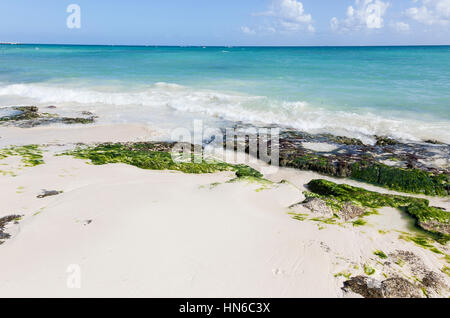 Playa del Carmen Strand, Riviera Maya, Coba Maya Ruinen, Yucatan Halbinsel, mexikanischer Staat Quintana Roo, Mexiko Stockfoto