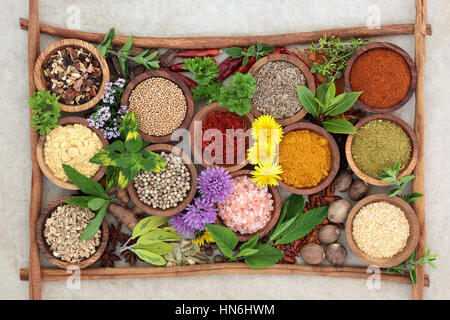 Kräutern und Gewürzen gewürzt in Holzschalen mit Zimtstangen bildet eine Hintergrund-Grenze auf Hanf-Papier, reich an Antioxidantien und Vitaminen. Stockfoto