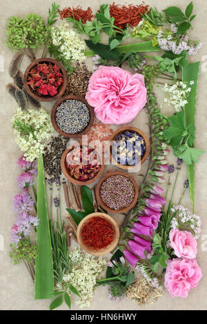 Natürliche pflanzliche Arzneimittel Auswahl mit getrockneten und frischen Blumen und Kräutern auf Hanf-Papier-Hintergrund. Stockfoto