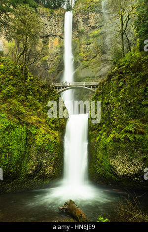 Multnomah Wasserfall in der Nähe von Portland, Oregon mit einer langen Belichtungszeit aufgenommen. Dieser Wasserfall ist der höchste in den Vereinigten Staaten. Stockfoto