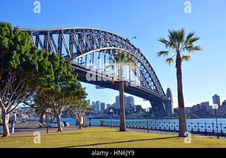 Sydney Harbour Bridge & Palmen von Dawes Point Park in The Rocks District, Australien. Stockfoto