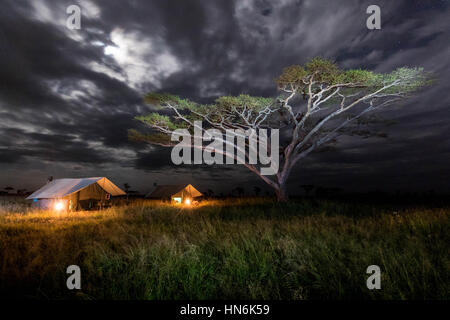 Nightscape Landschaftsfoto Camping in der Serengeti Nationalpark, Tansania, Afrika Stockfoto