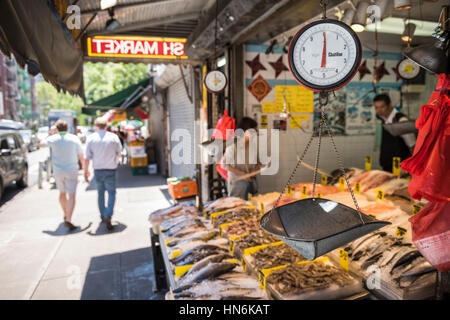 New York, USA – 18. Juni 2016: Meeresfrüchte-Markt-Anzeige und Shop mit Lieferanten und Kunden in Chinatown in New York City mit Lebensmittel-Skala Stockfoto